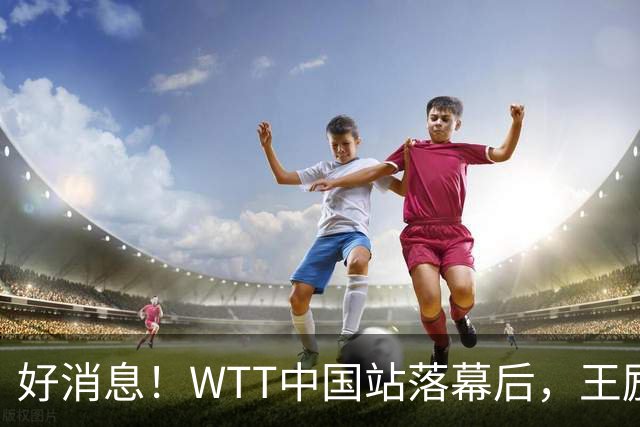 好消息！WTT中国站落幕后，王励勤释放关键信号，樊振东或能回归