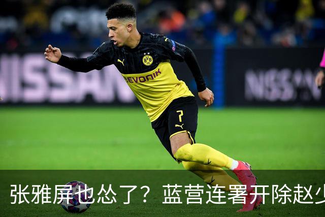 张雅屏也怂了？蓝营连署开除赵少康，张雅屏：联署人数不能替代事证
