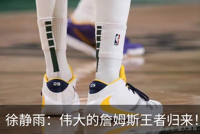 徐静雨：伟大的詹姆斯王者归来！他是把篮球打成脑力劳动的goat