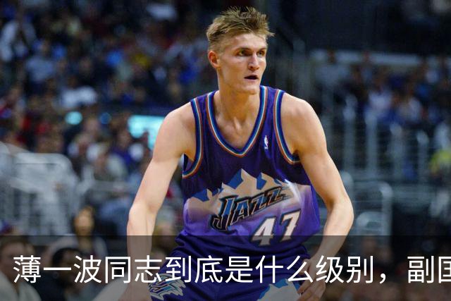 薄一波同志到底是什么级别，副国级？还是正国级？