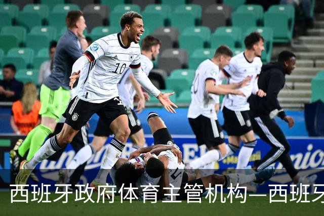 西班牙政府体育主管机构—西班牙体育理事会主席公开要求西甲主席特瓦斯，向皇马道歉
