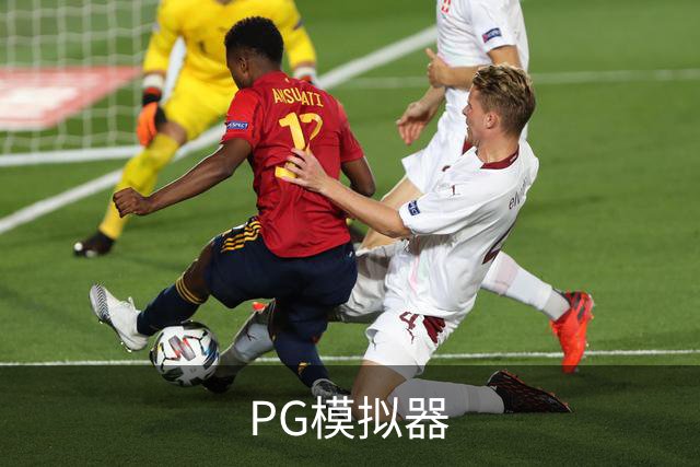 PG模拟器公司简介